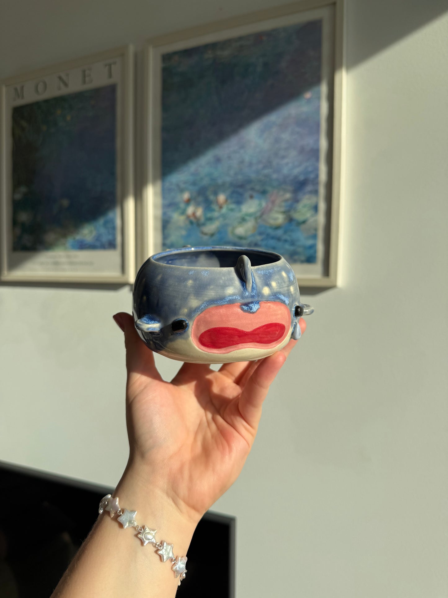 Dipper the Whaleshark