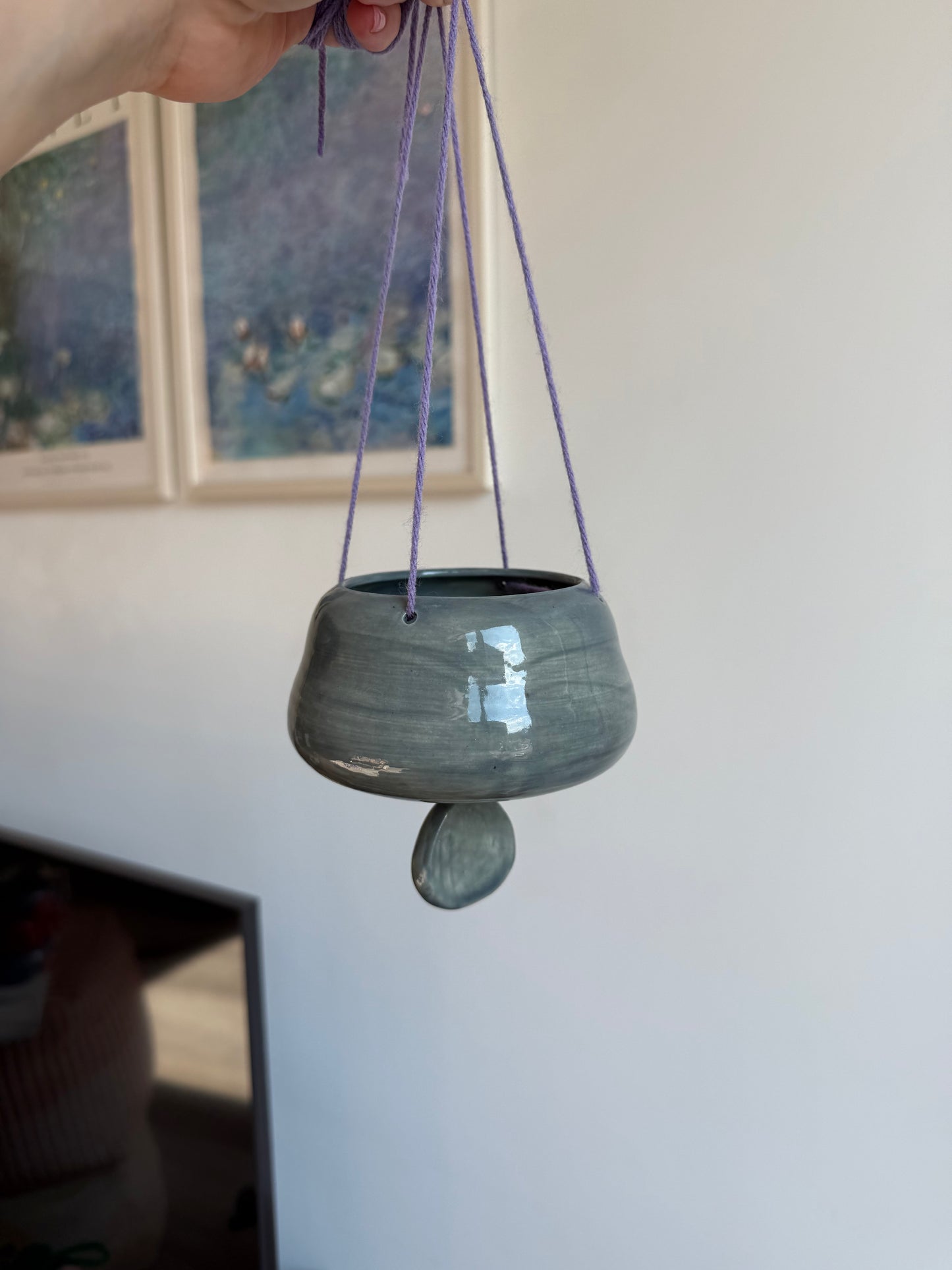 Monty Manatee hanging planter