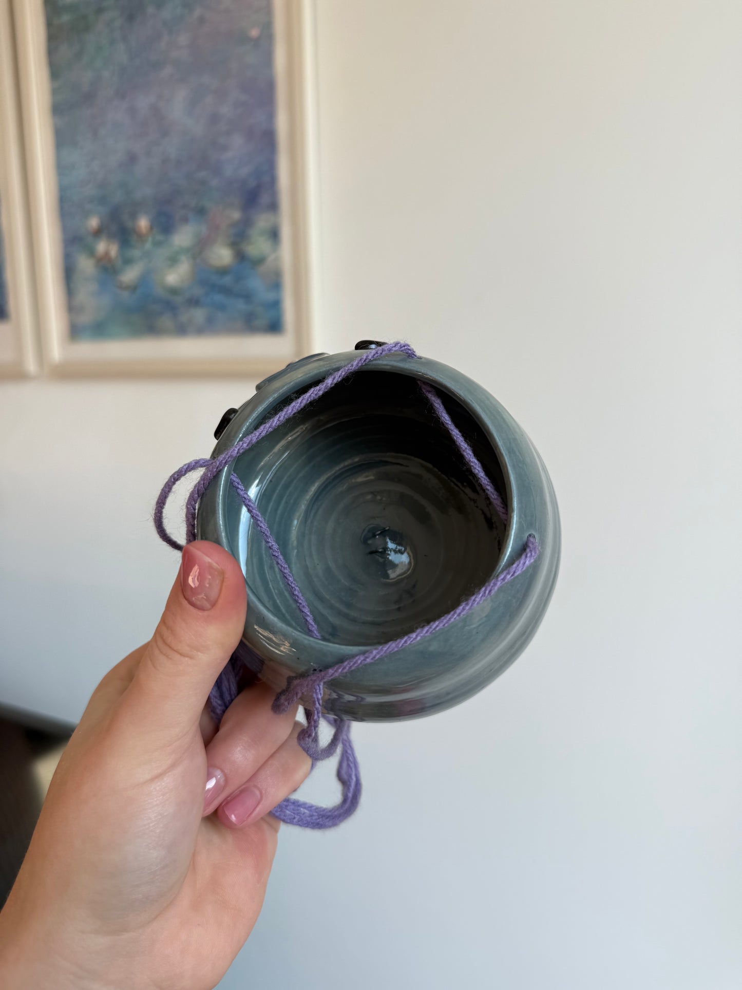 Monty Manatee hanging planter