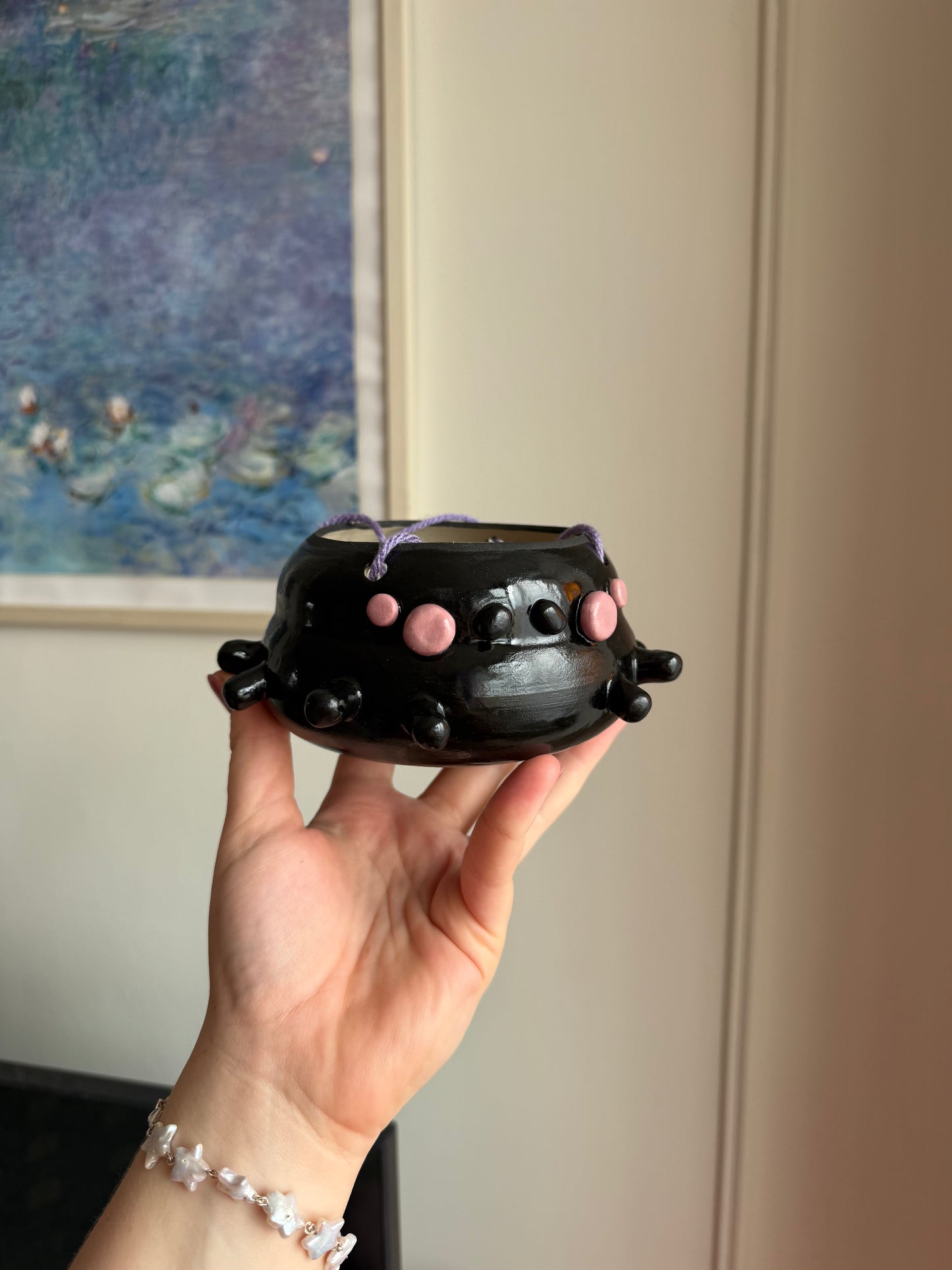 Charlotte the Spider planter