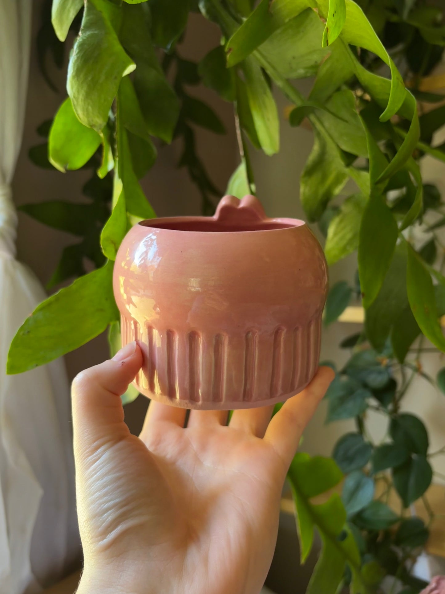 Neapolitan Critter Ice Cream Cups