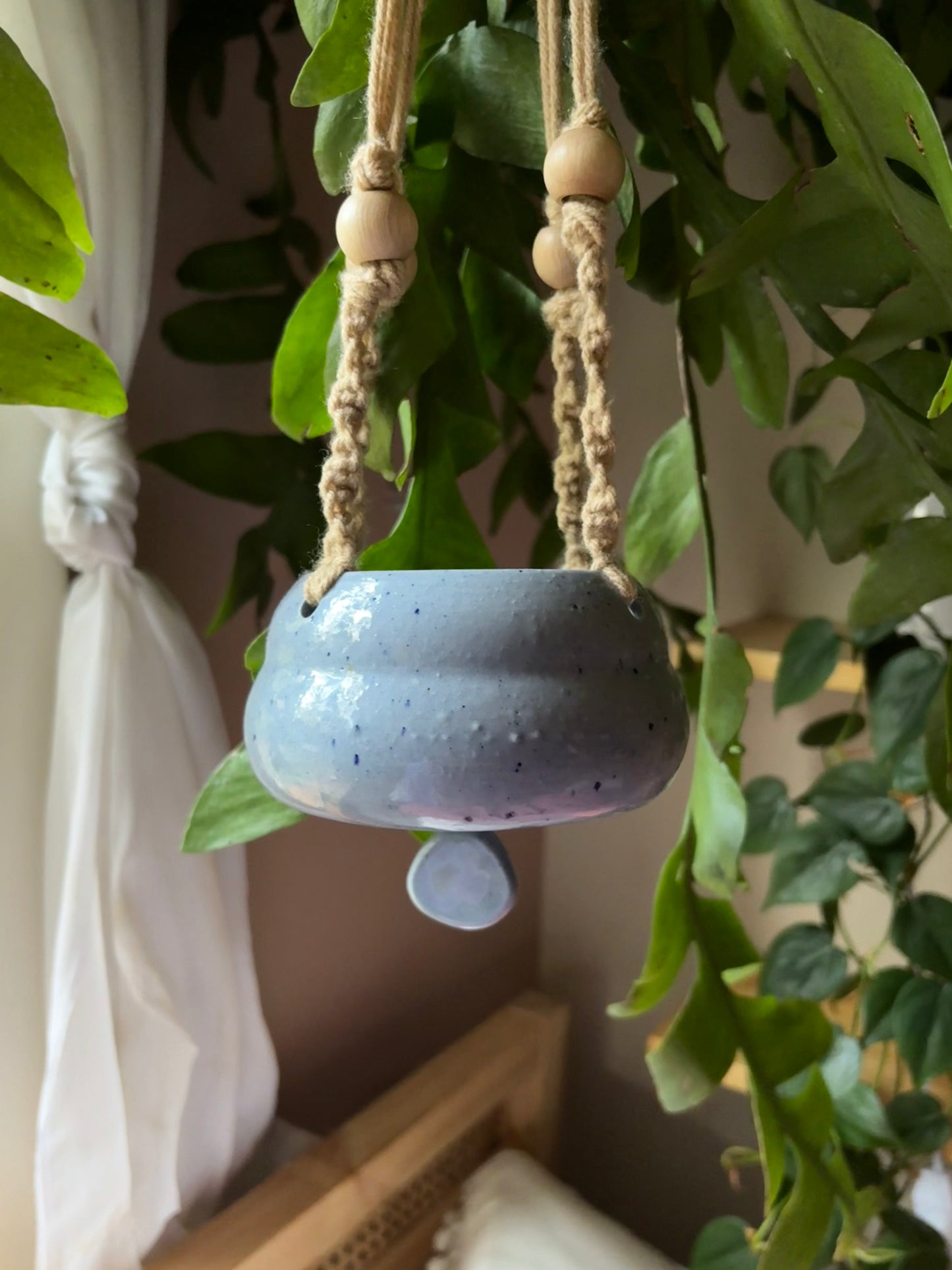 Monty Manatee Hanging Planter