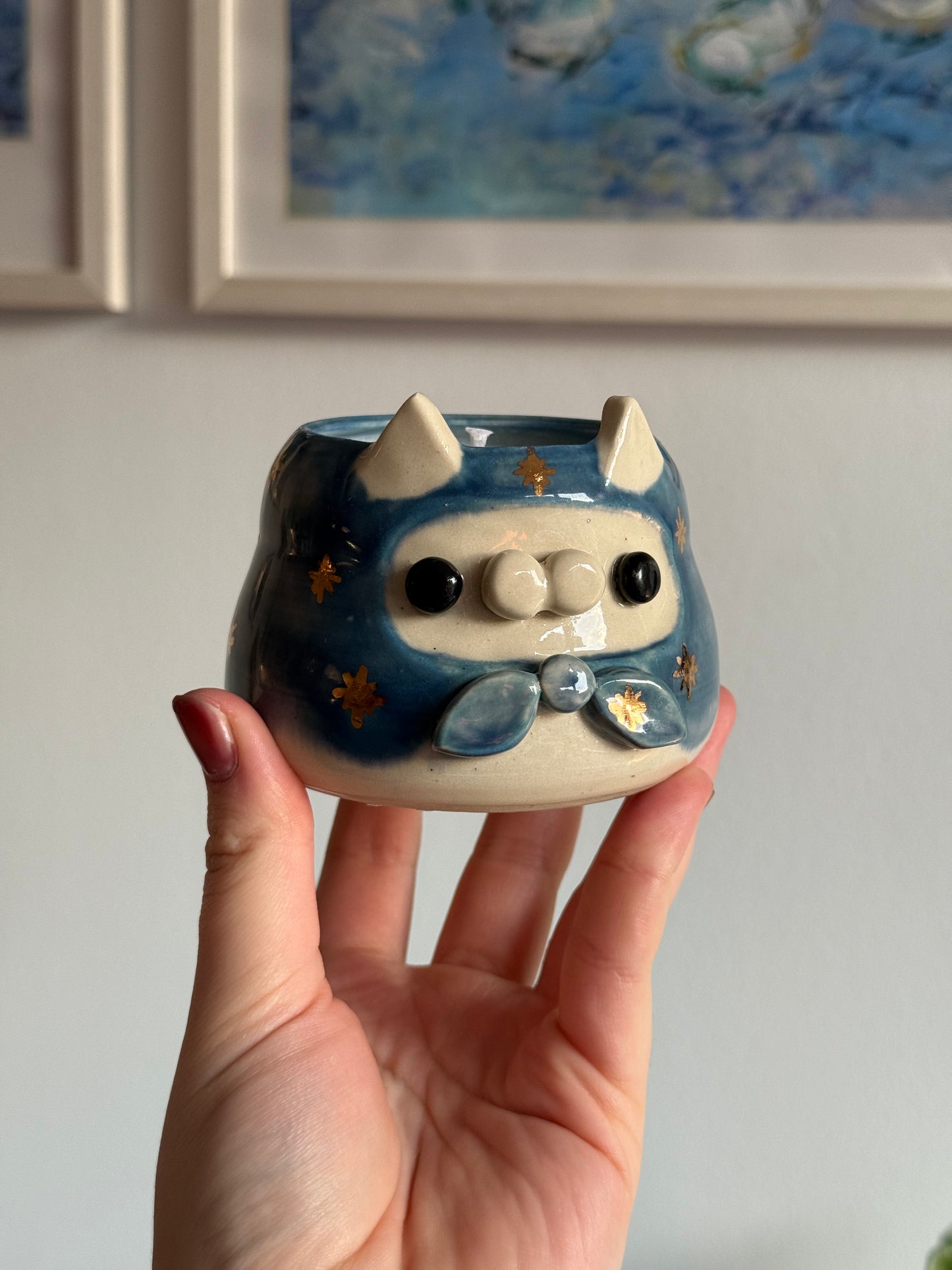 Nova Kitty