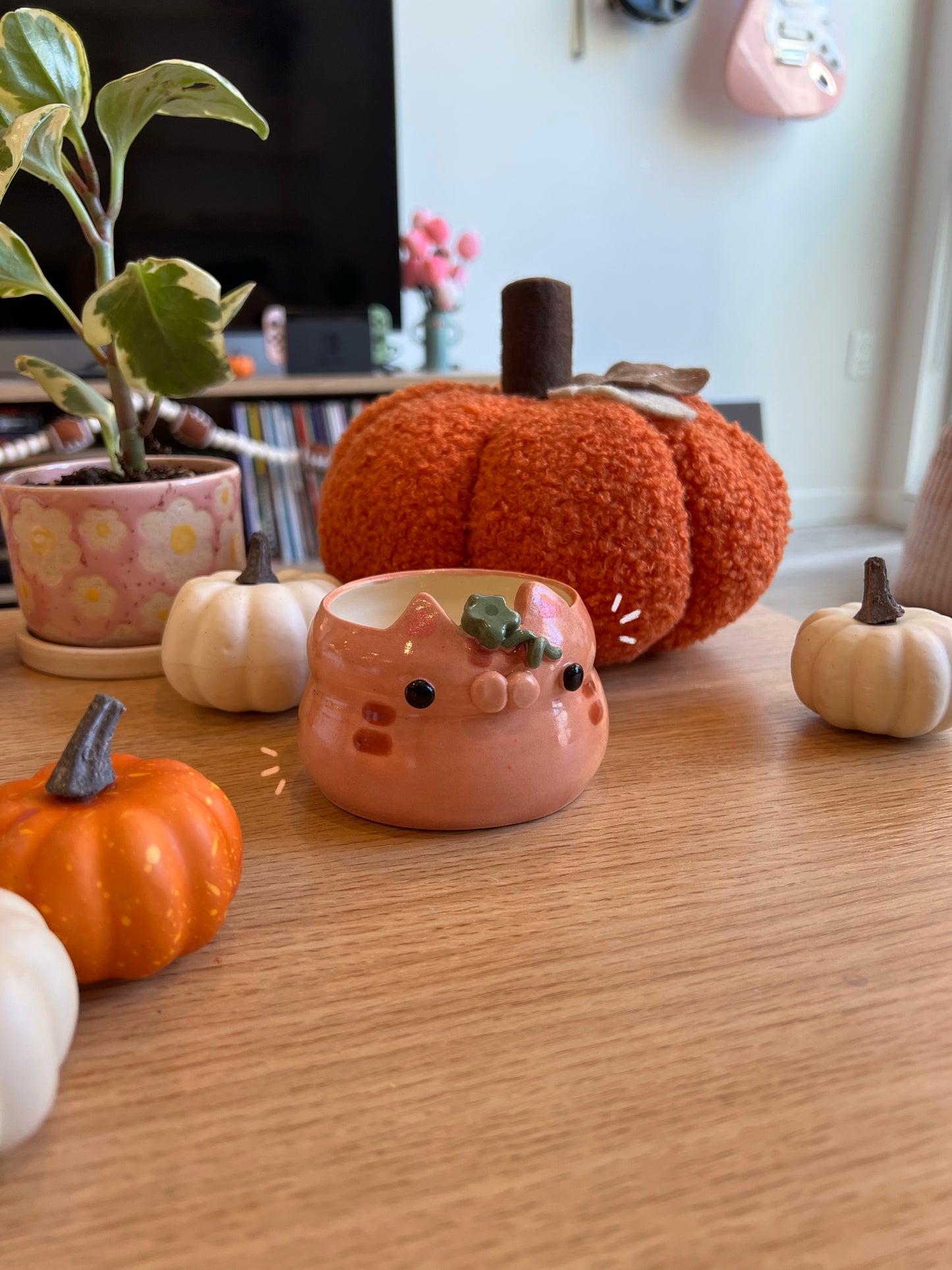 Pumpkin kitty