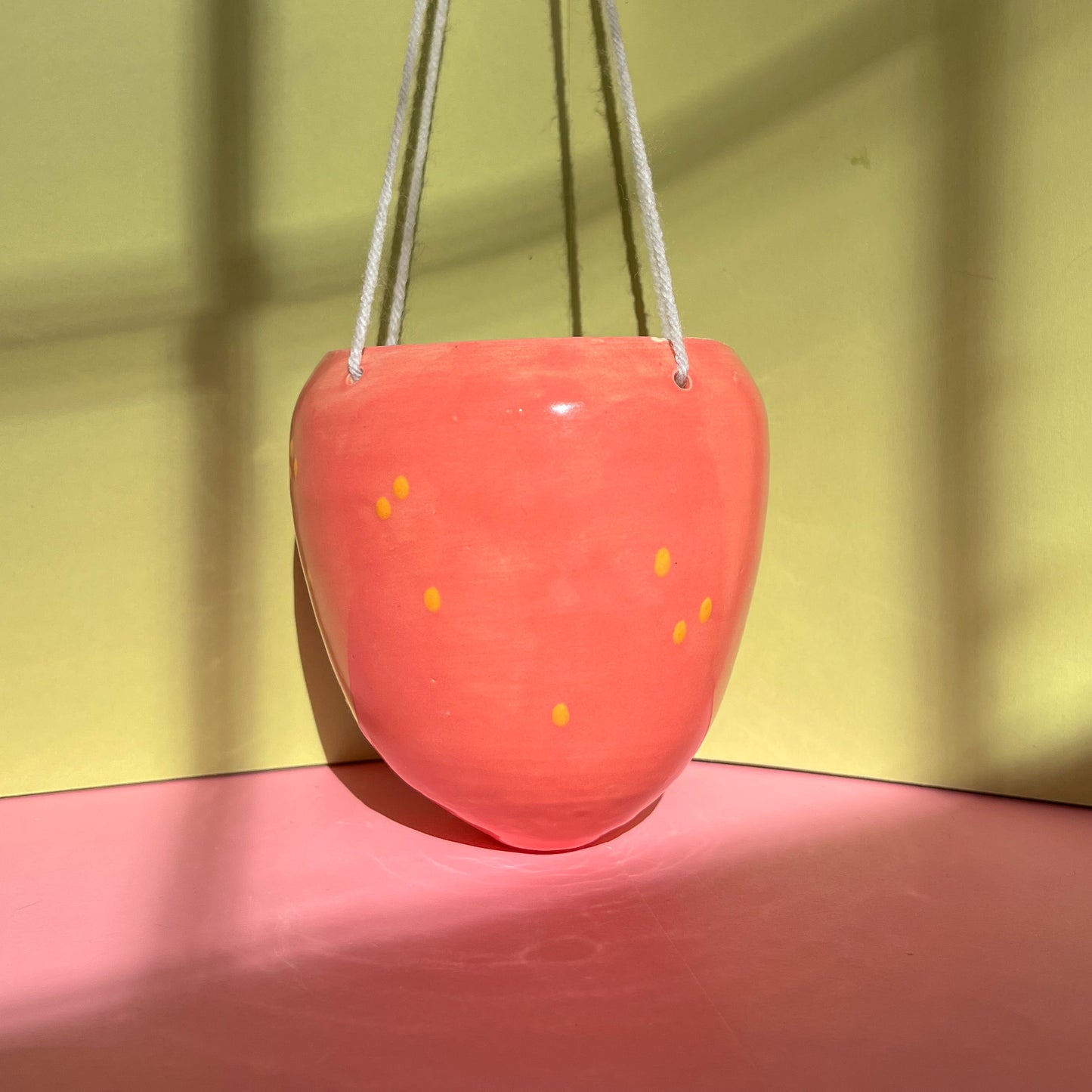 Strawberry hanging planter