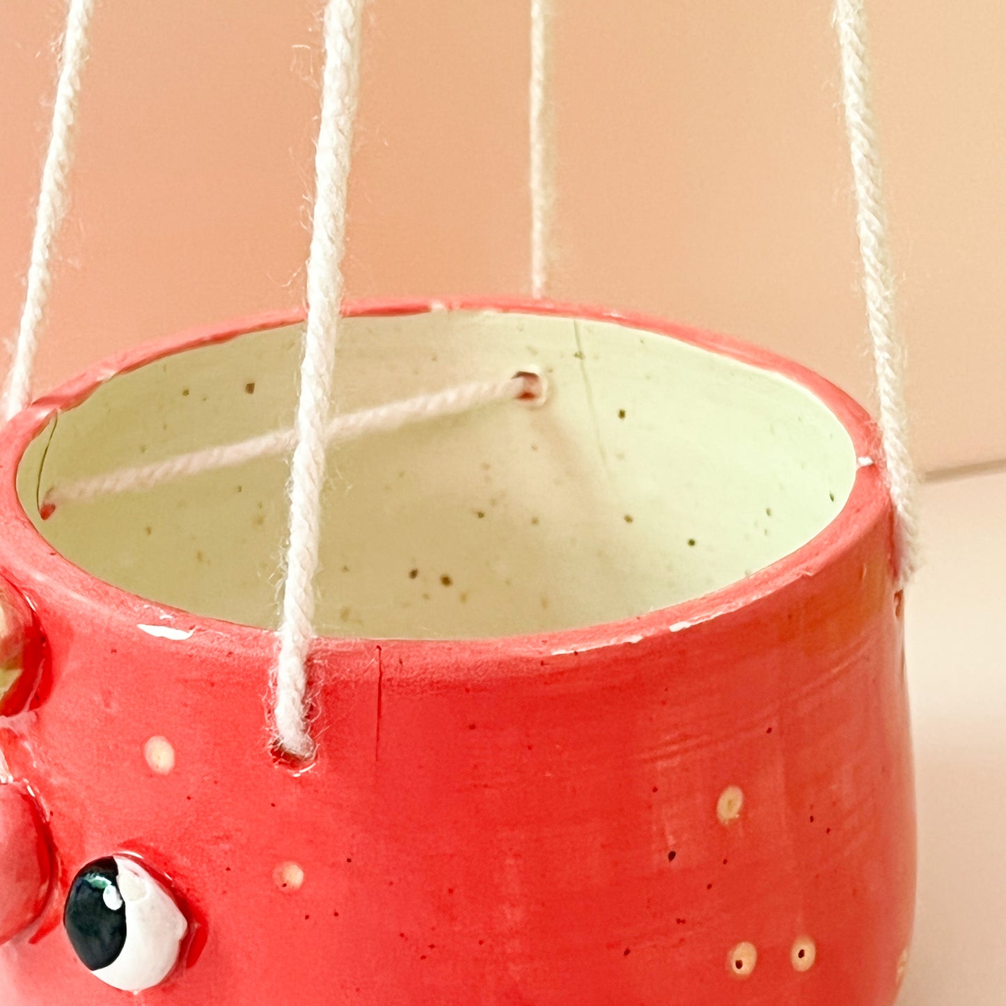 Strawberry hanging planter