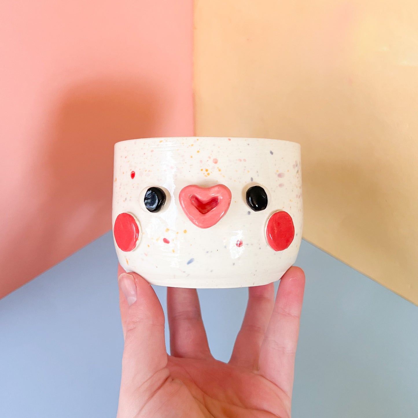 Rainbow Speckled Planter