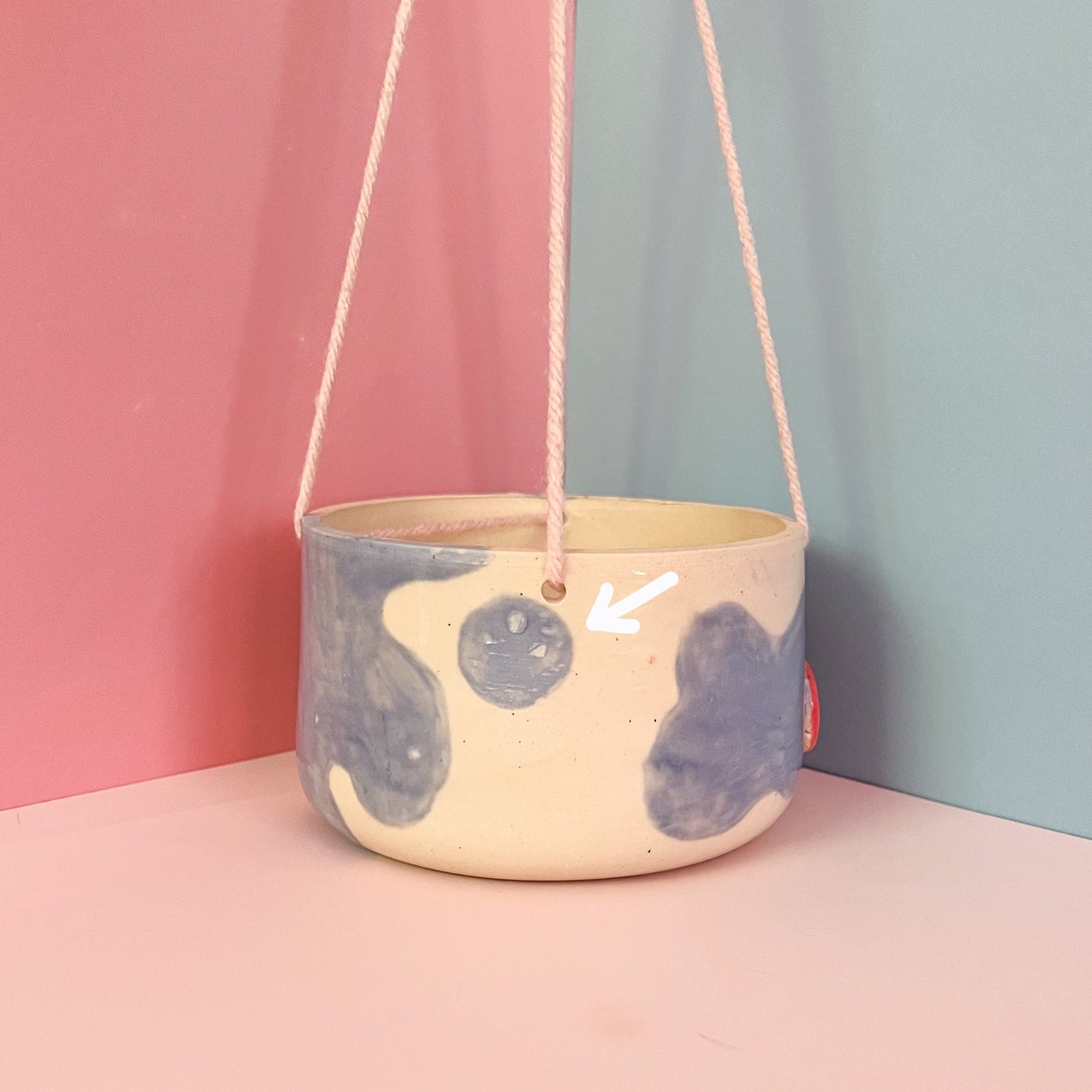 Baby blue moo moo planter