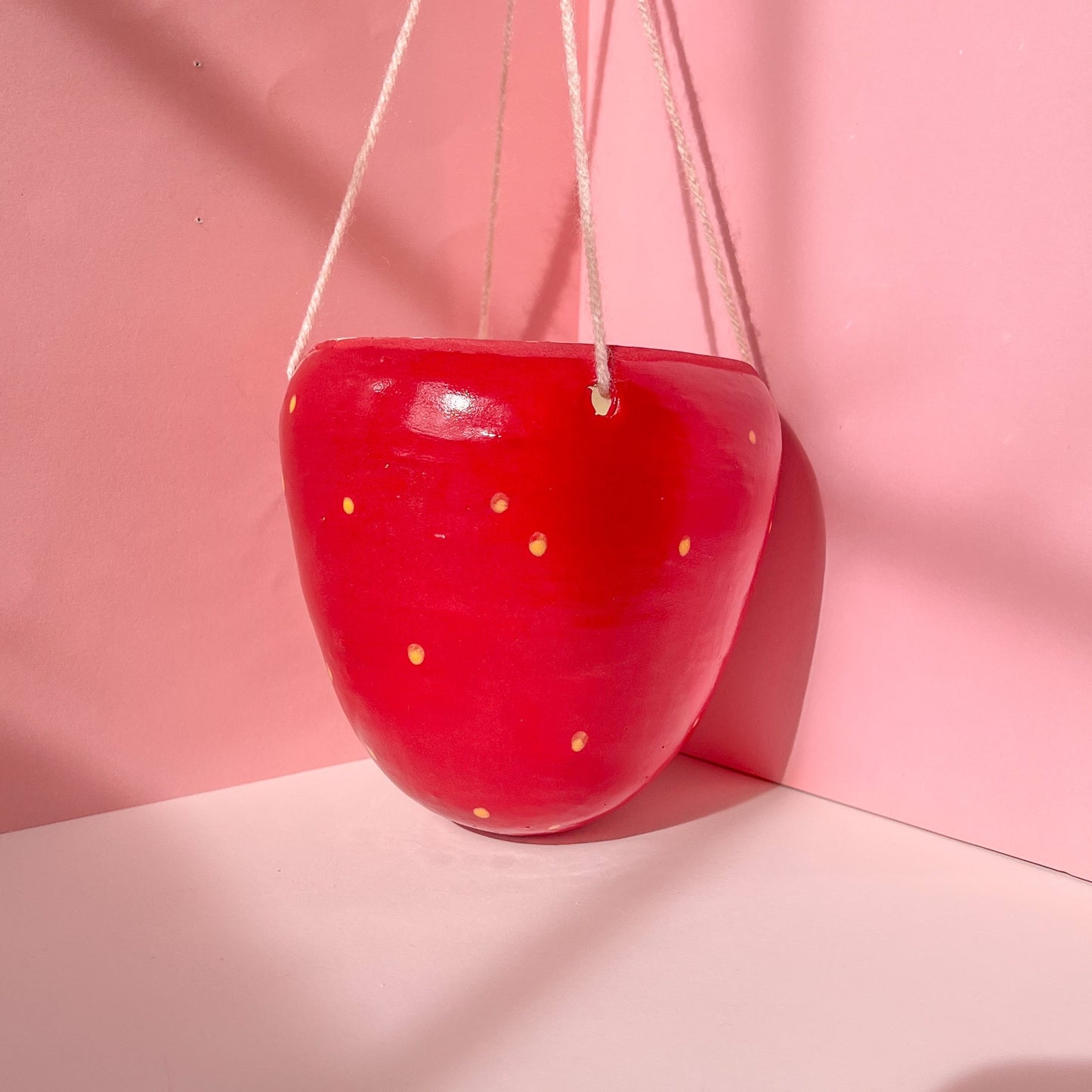 Strawberry hanging planter