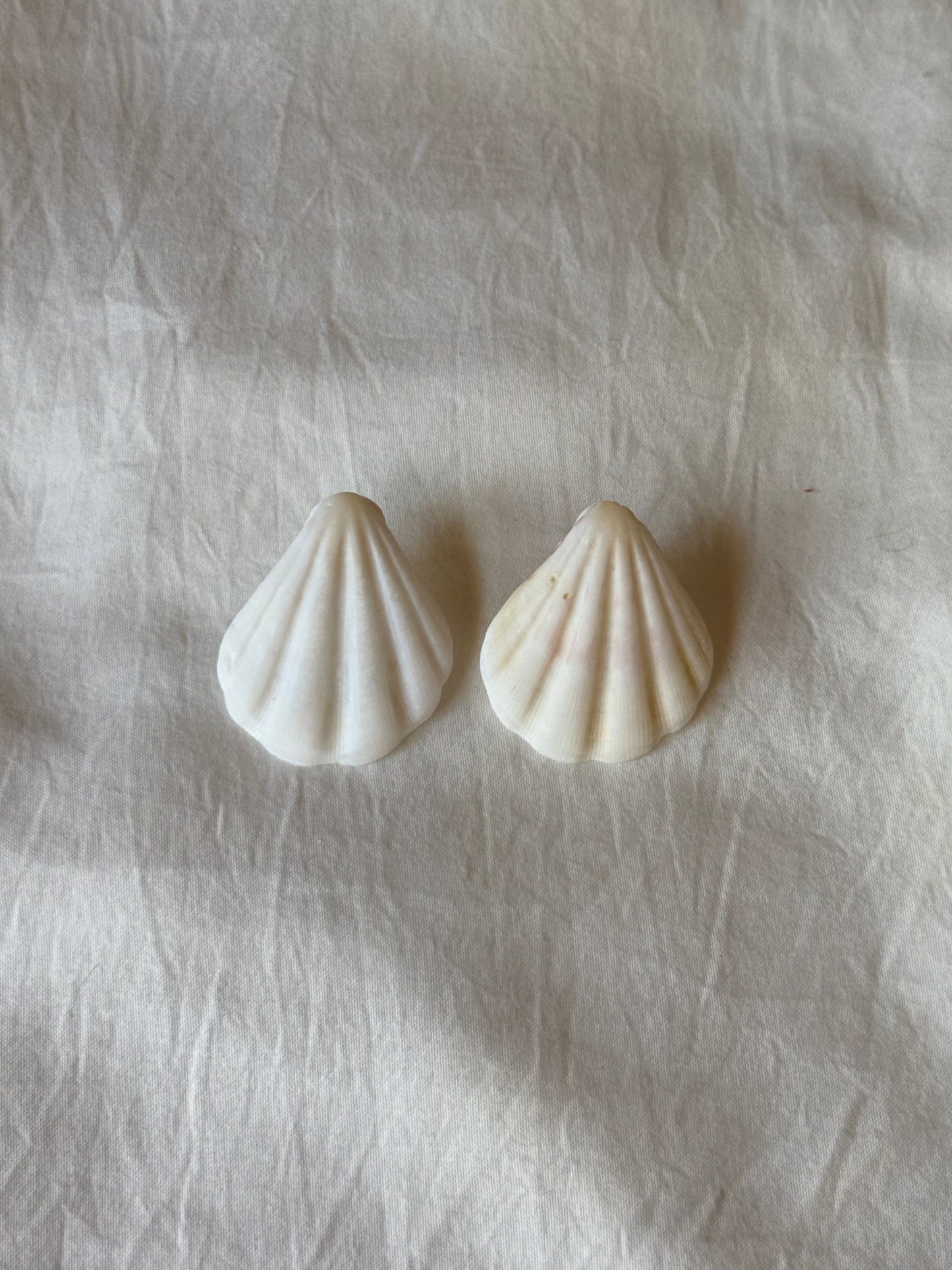 Simple Scallop earrings