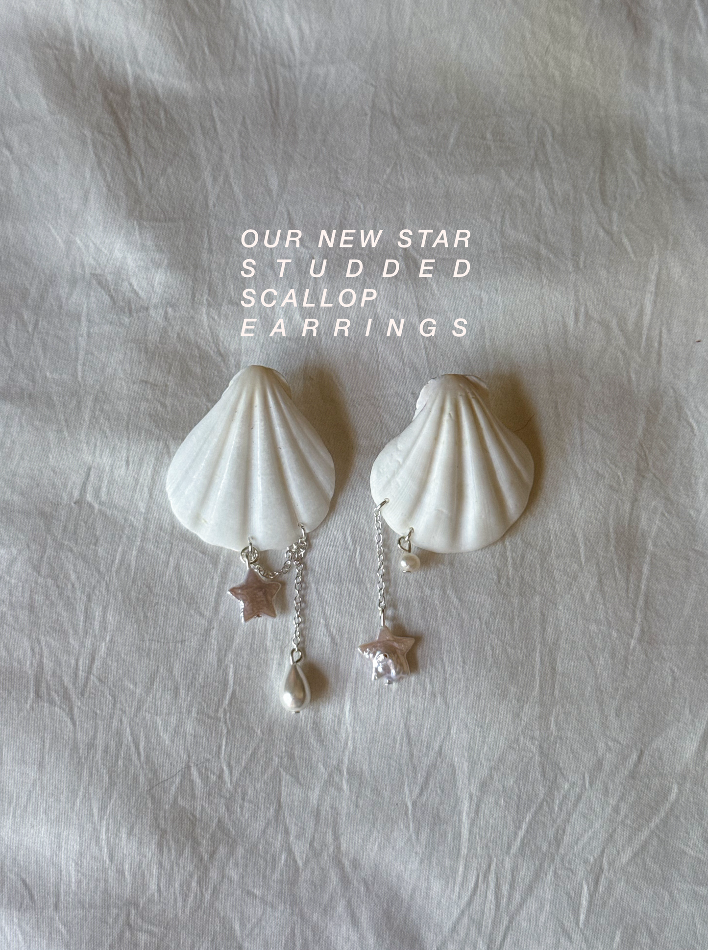 Studded Scallop earrings