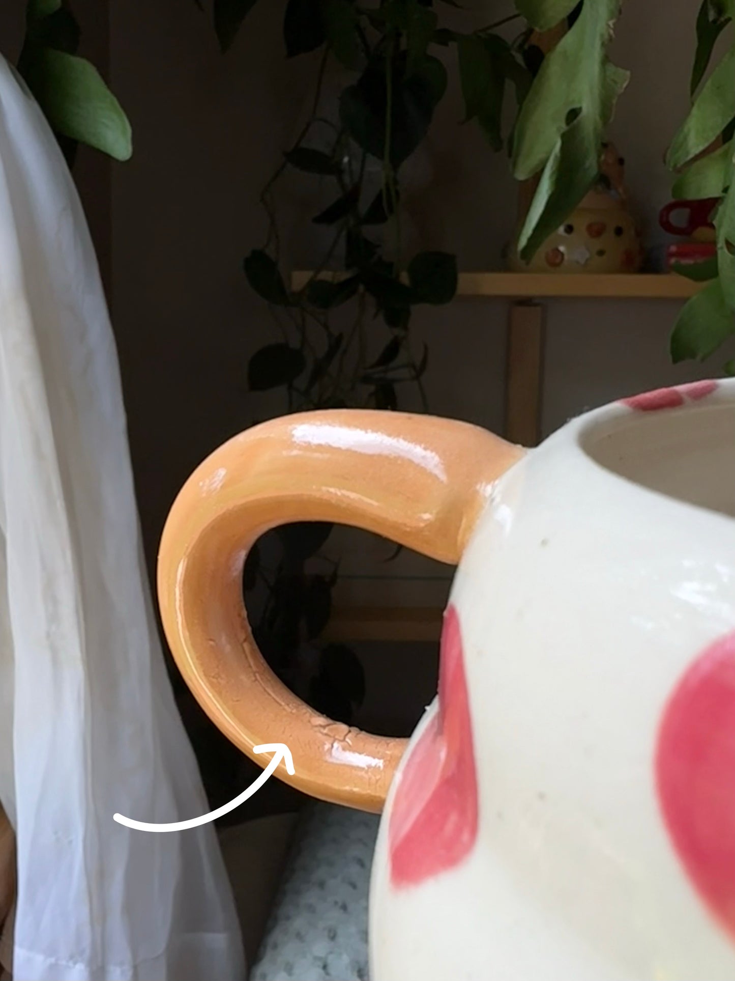 Paisley the Peachy Cat