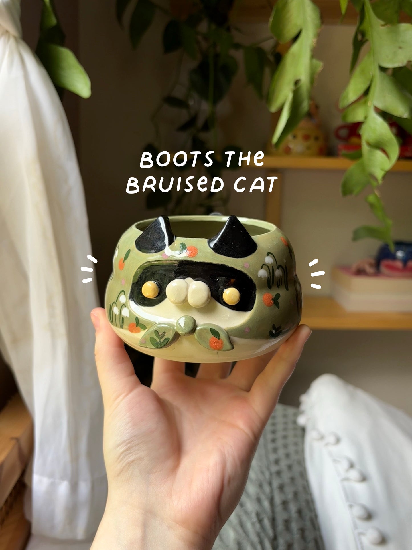 Boots the Bruised Cat