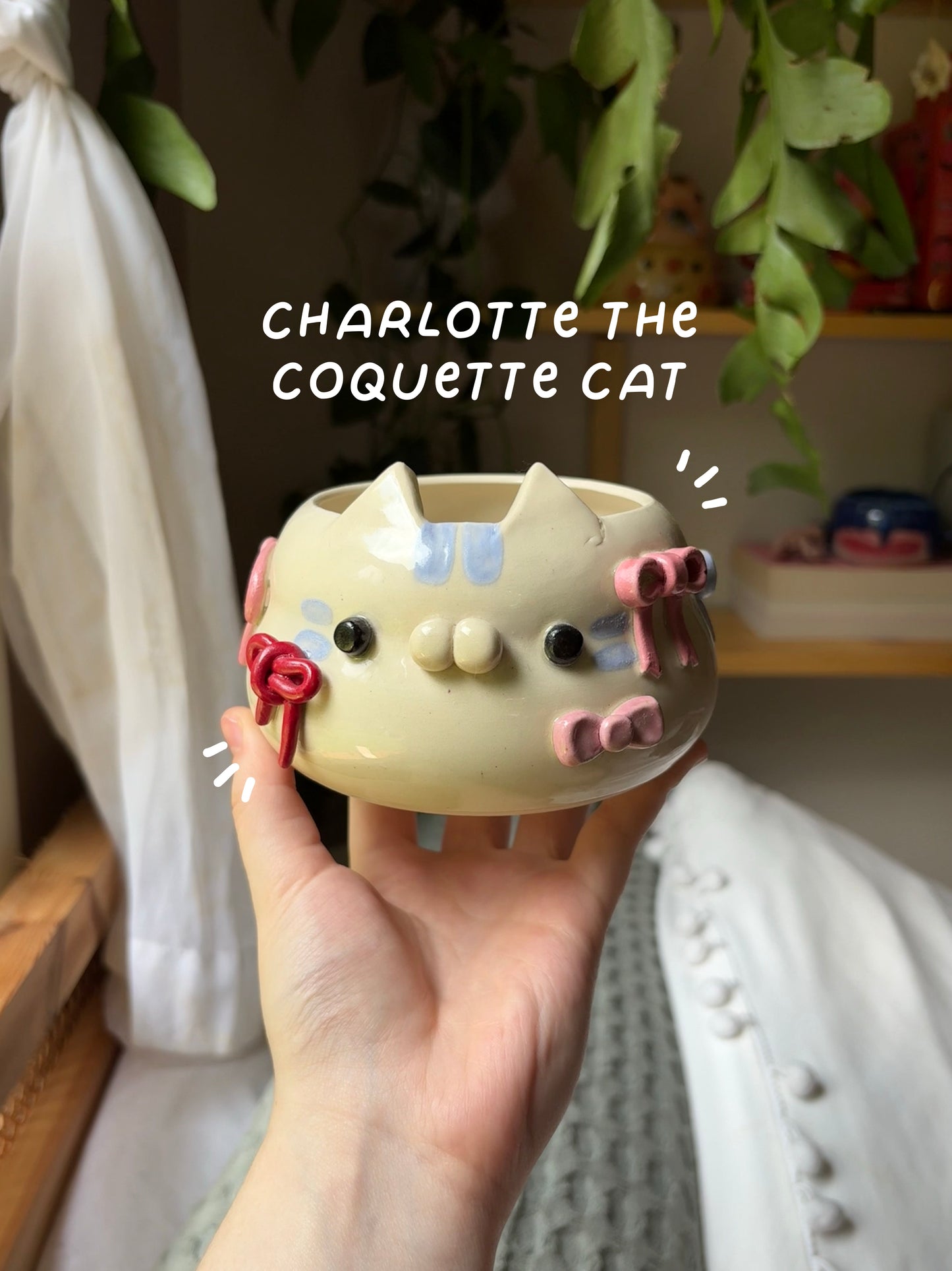 Charlotte the Coquette Cat