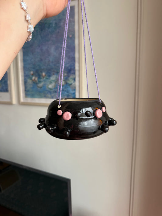 Charlotte the Spider planter