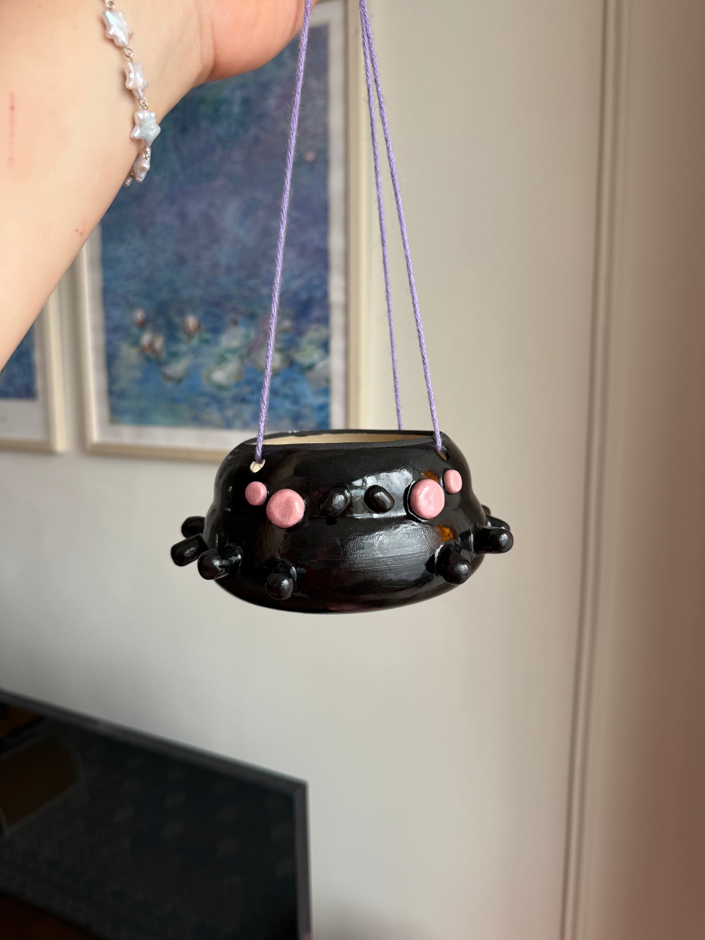 Charlotte the Spider planter