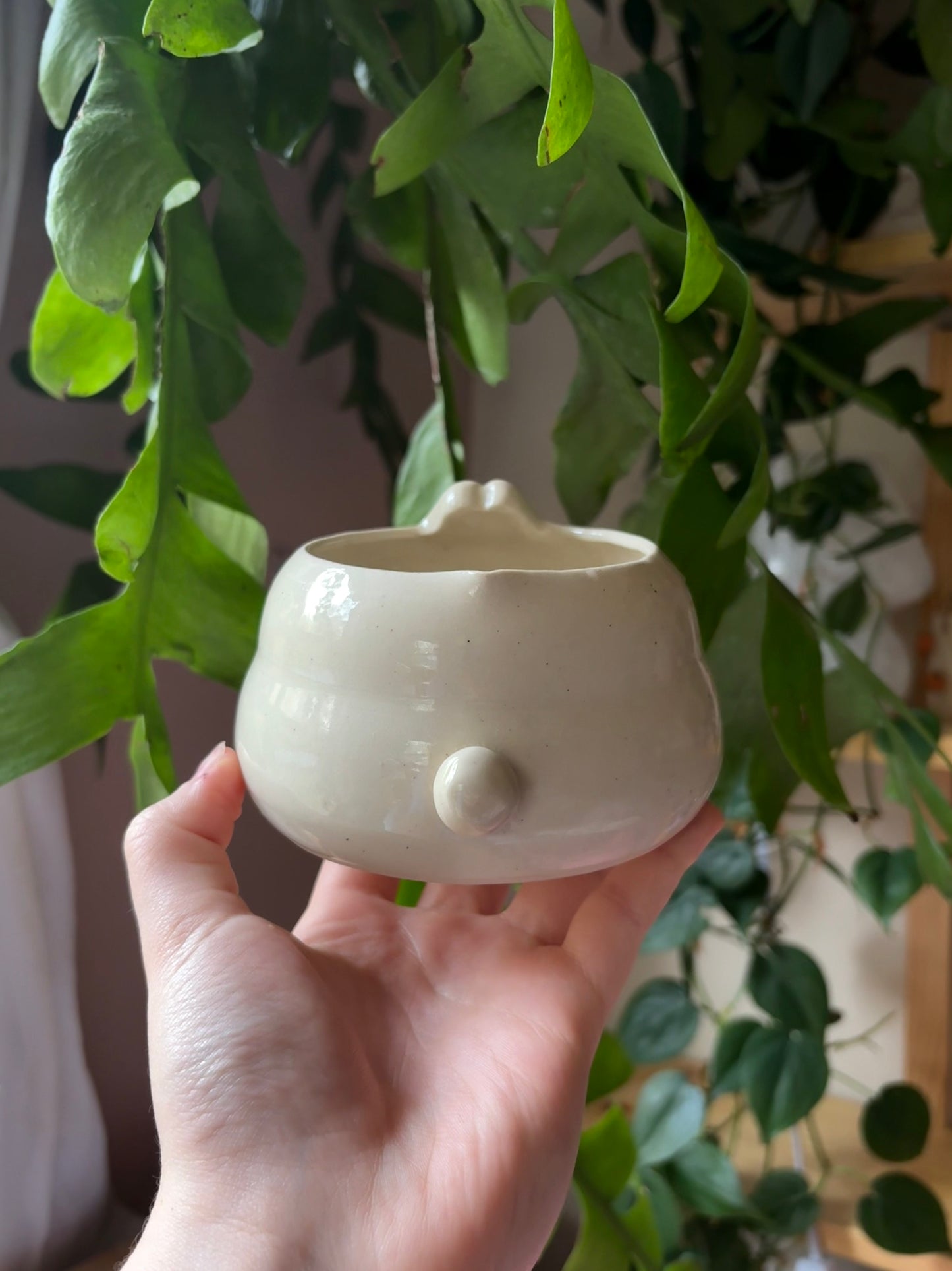 Bailey the Bunny Matcha Bowl (seconds)