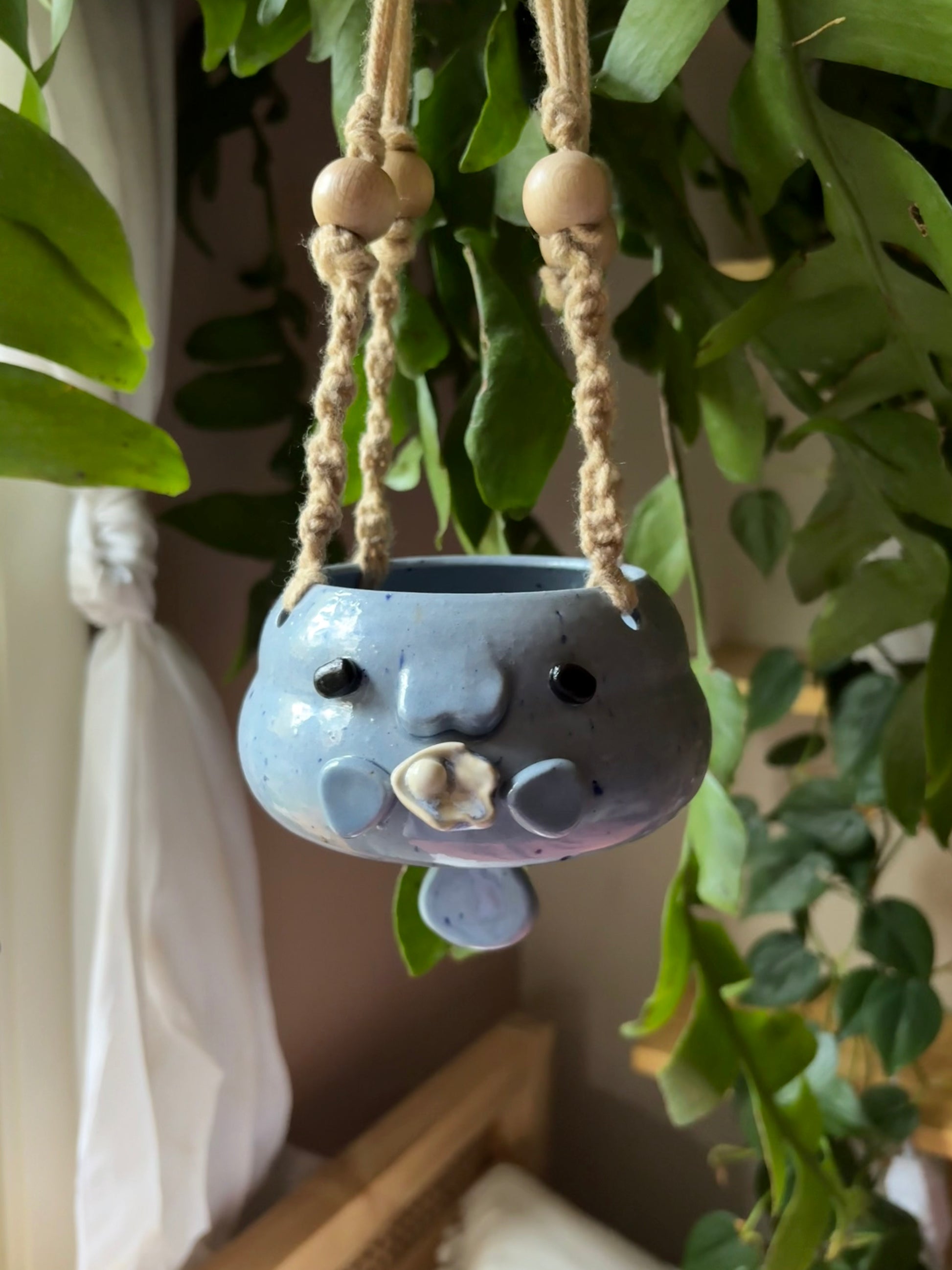 hanging animal planter Monty Manatee Hanging Planter
