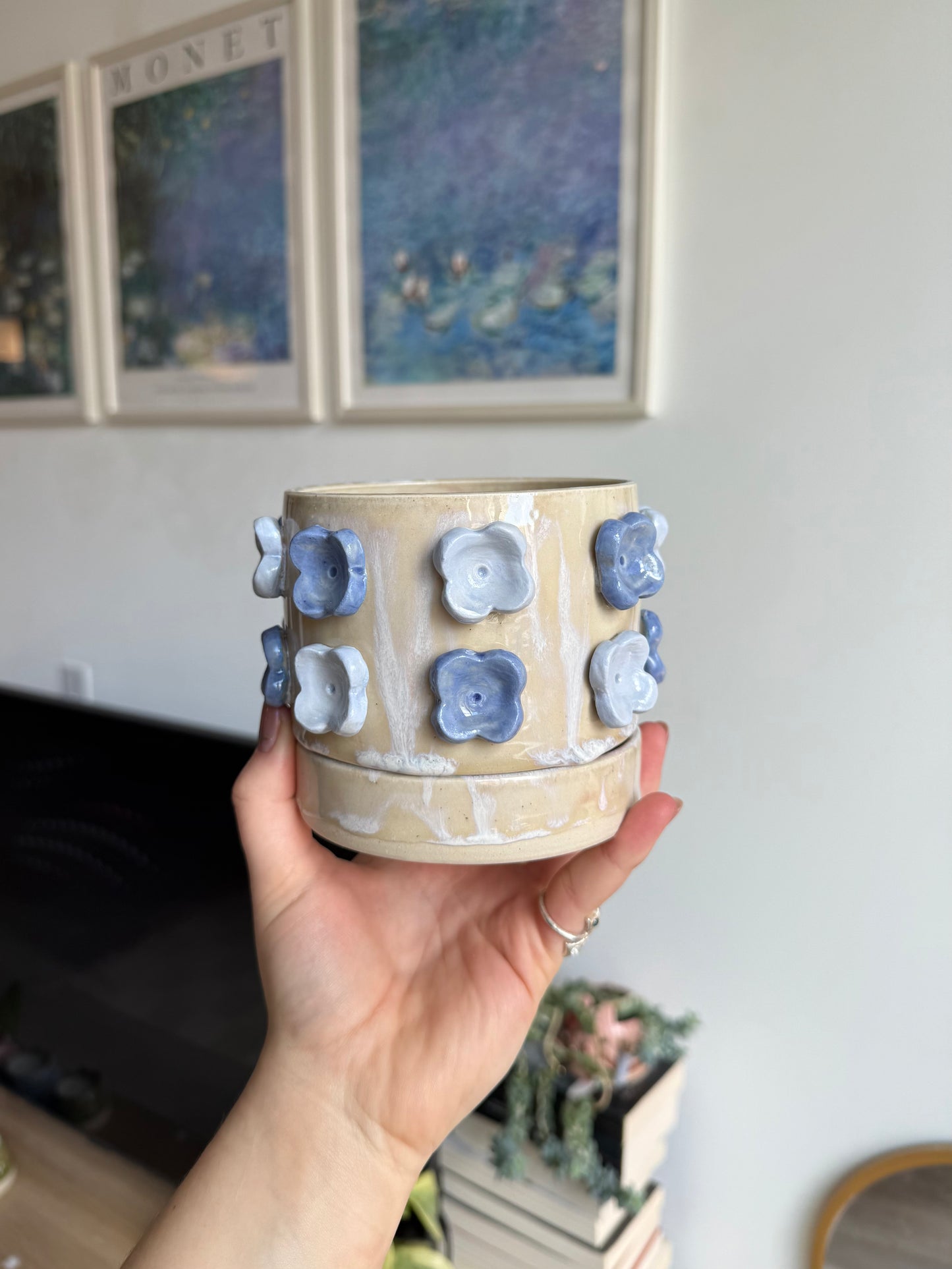 Hydrangea planter set