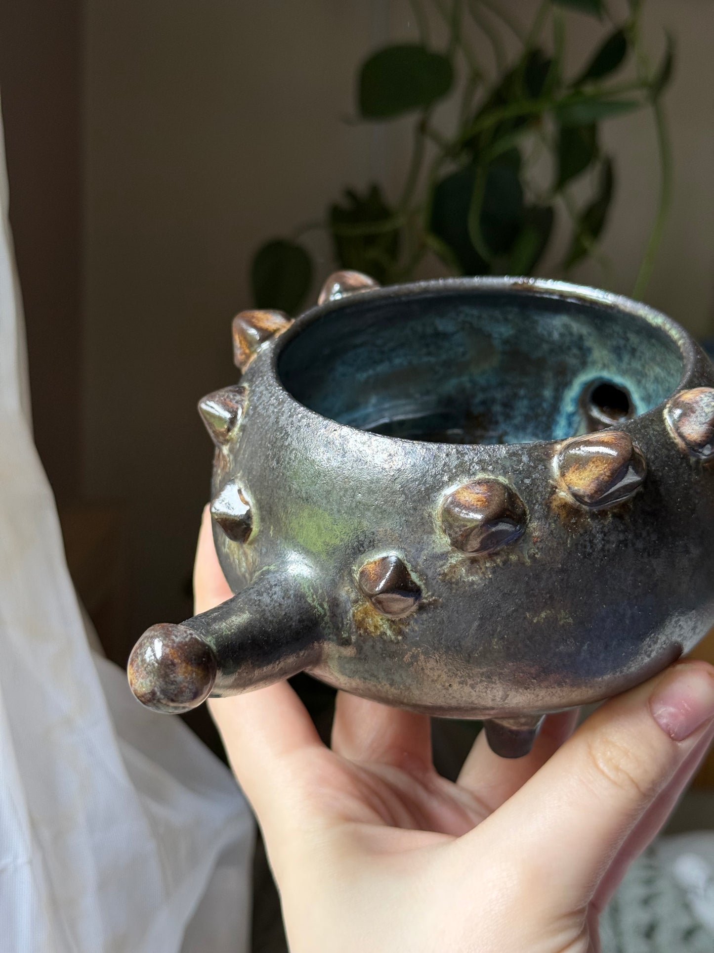Ani the Ankylosaurus Planter