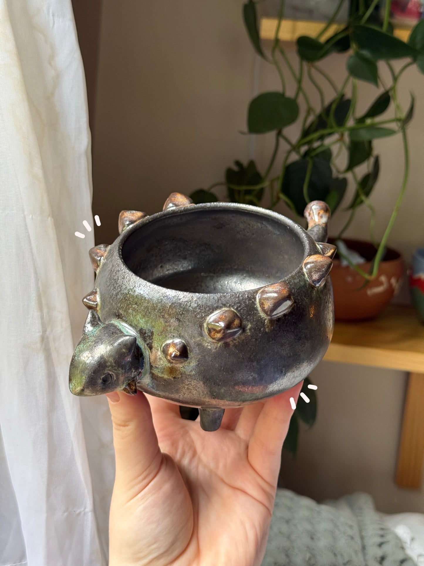 Ani the Ankylosaurus Planter