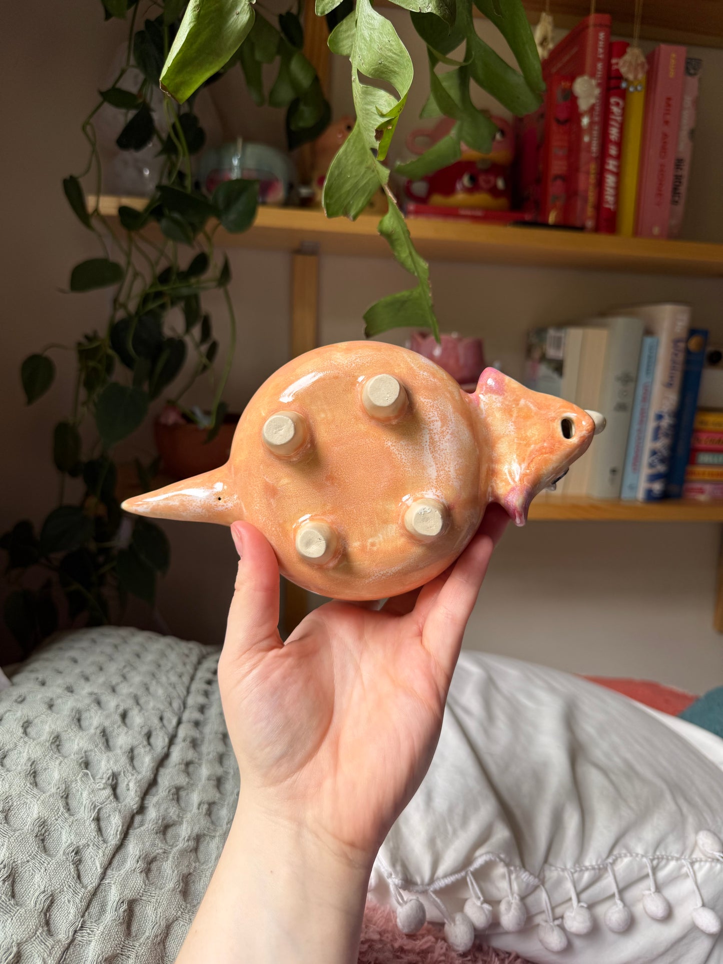 Tessa the Triceratops