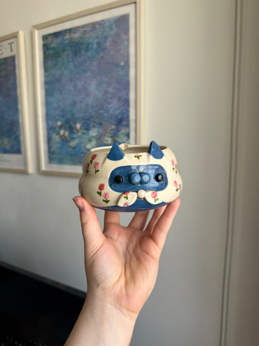 Beau the Babushka Kitty