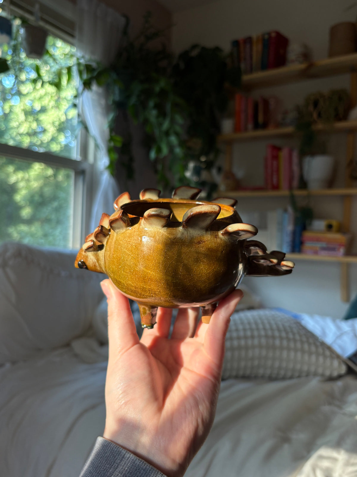 Olive the Stegosaurus