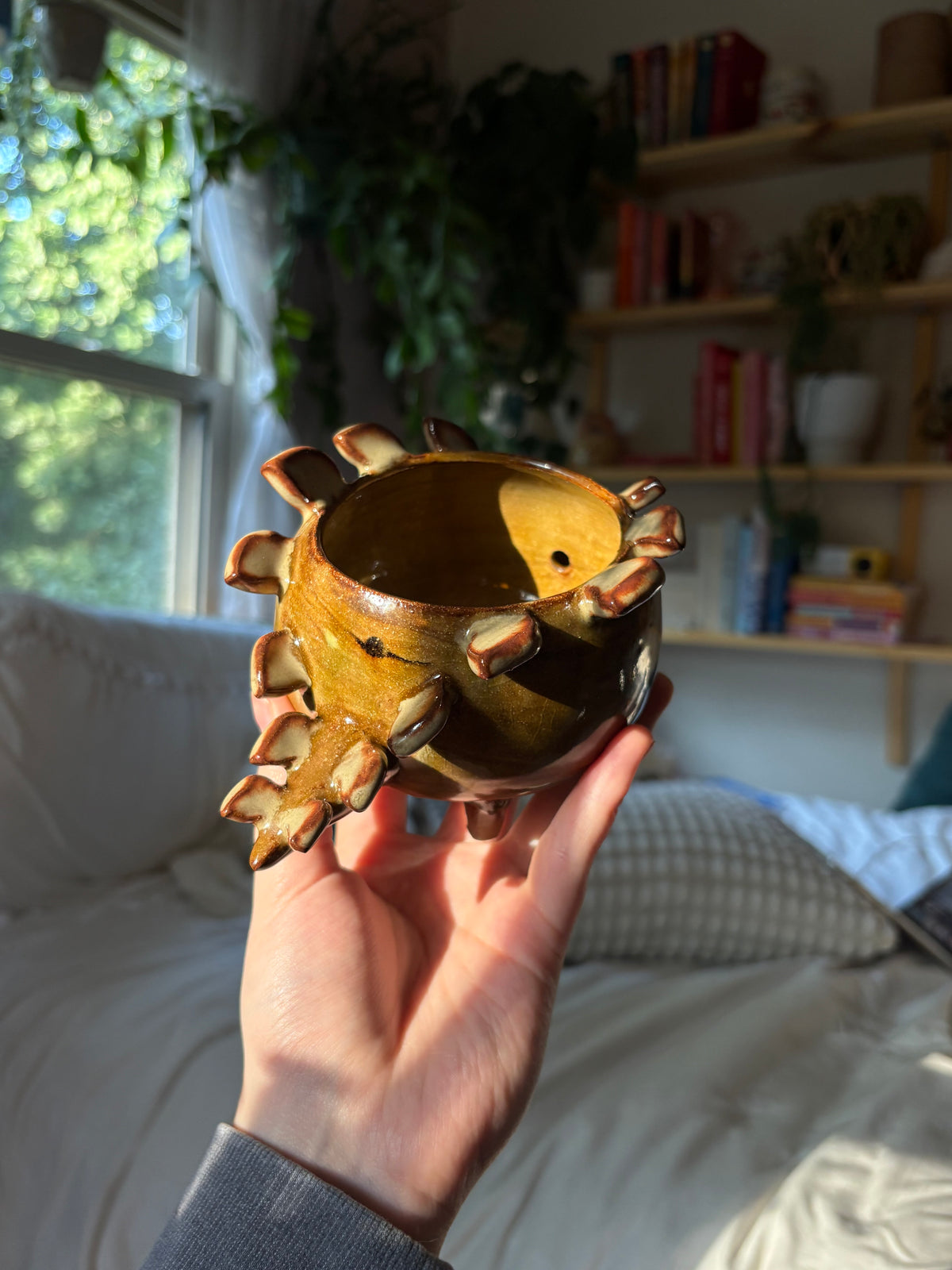 Olive the Stegosaurus
