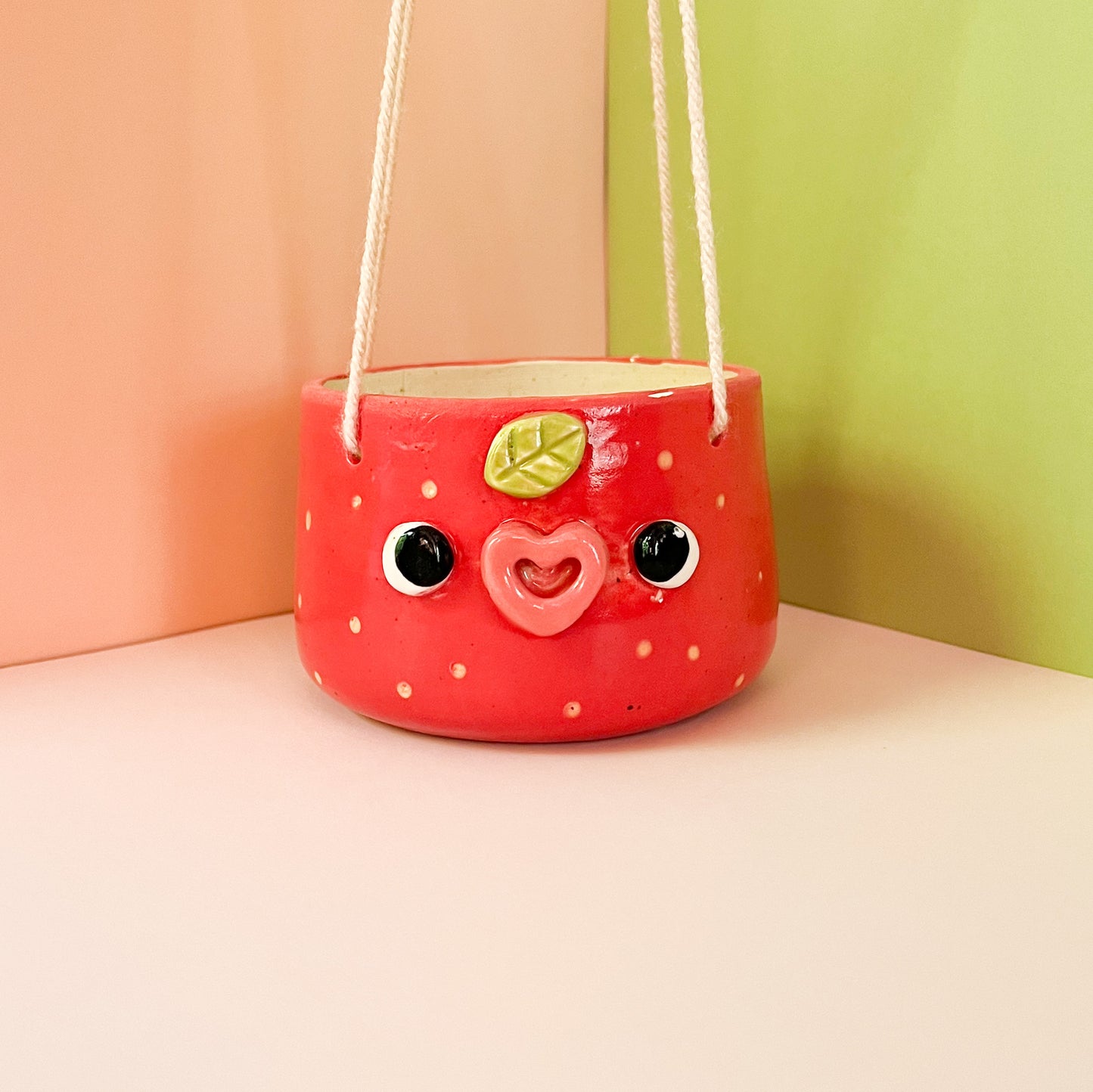 Strawberry hanging planter