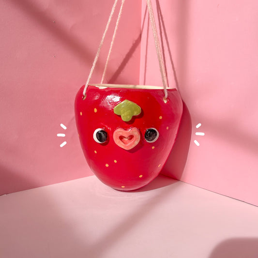 Strawberry hanging planter